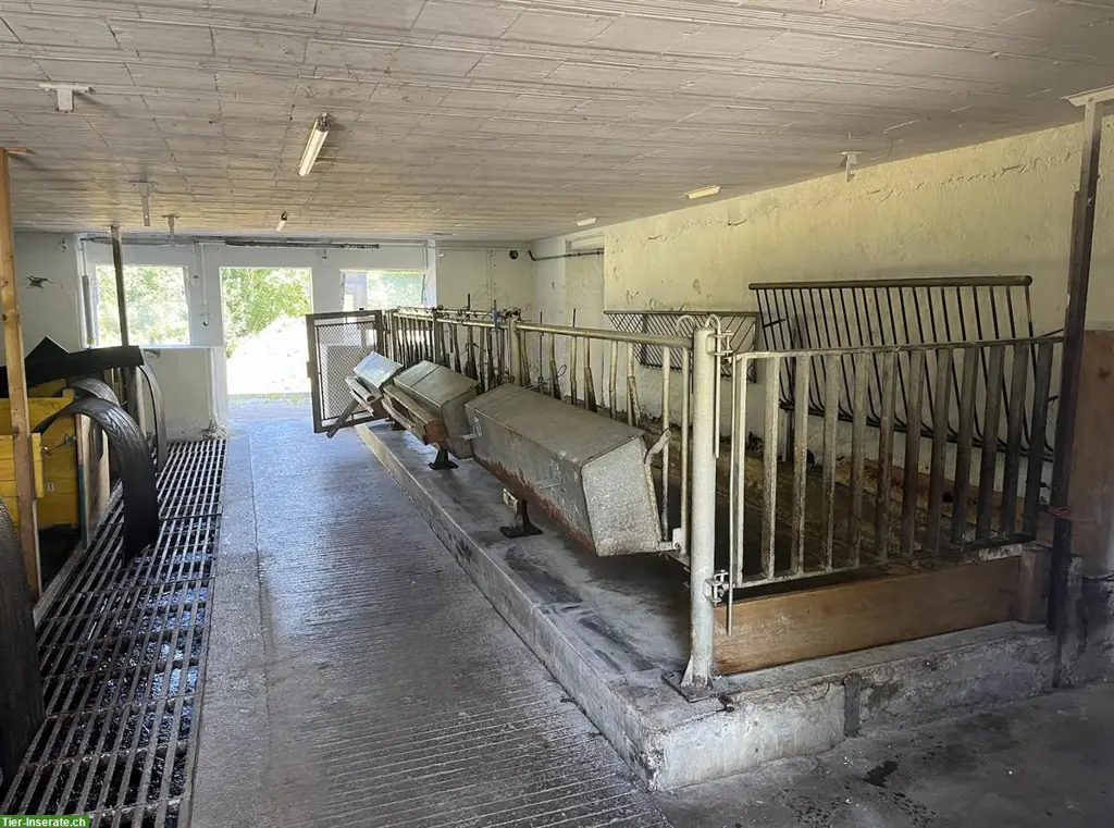 unnamed