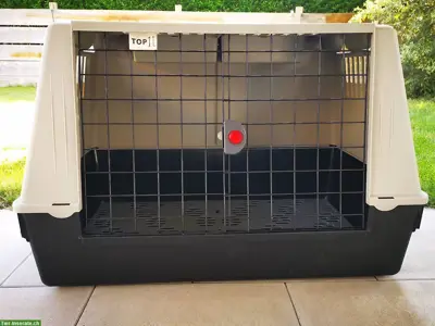 Hundetransportbox für kleine bis mittelgrosse Hunde