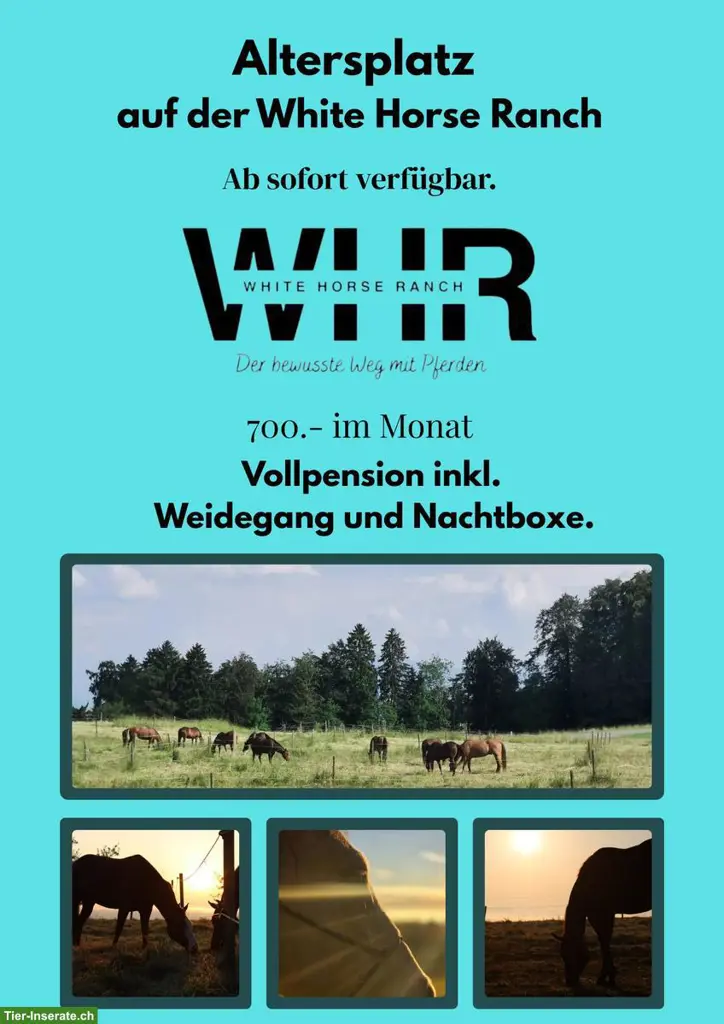 Platz auf Altersweide für Pferde im Aargau