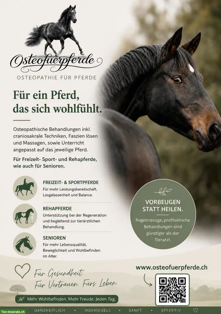 Osteo und Training für Pferde | Region Lyss - Bern - Solothurn
