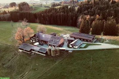 2 Pferdeboxen ab September Region Appenzell AR
