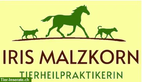 Tiergesundheit verstehen - Tierheilpraxis für Hunde, Katzen & Pferde