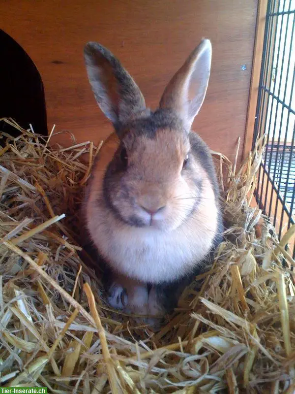 unnamed