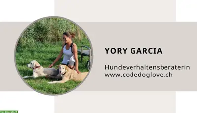 Code.Doglove - Deine Hundeverhaltensberatung im Aargau
