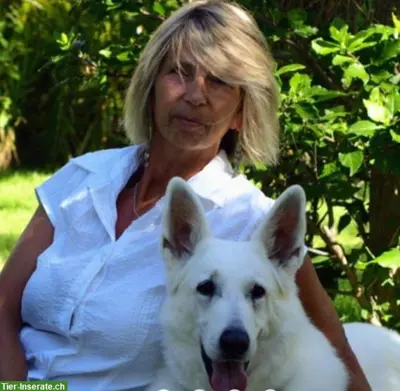 Zuverlässiger Hunde-/Katzensitter mit Herz & Verstand