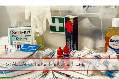 Stallapotheke Erste Hilfe Checkliste – kostenloser Download!