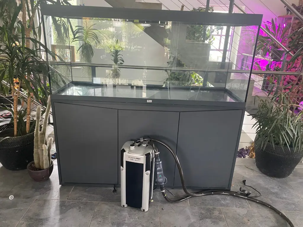 Aquarium Volga 450Liter / Jahrgang 2026