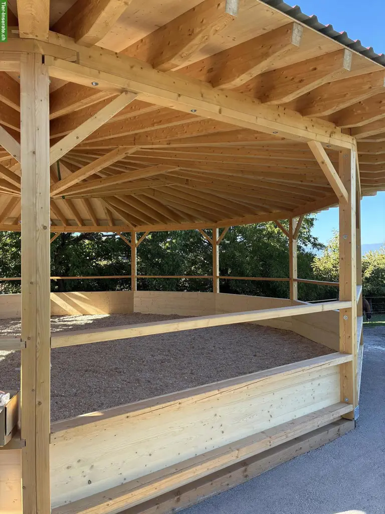 Auslaufbox / Offenstallplatz, Kanton Bern