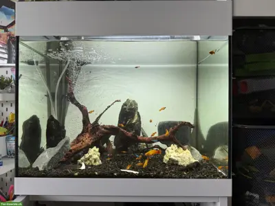 Aquarium Oase StyleLine 85 mit Unterschrank & viel Zubehör