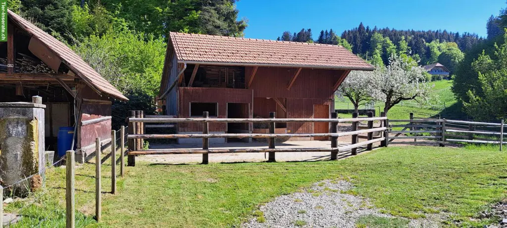 Selbstversorgerstall für max. 3 Pferde in 3150 Schwarzenburg BE