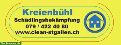 Kreienbühl - Schädlingsbekämpfung / Kammerjäger, St. Gallen