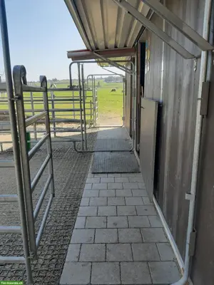 1-2 Pferdeboxen zu vermieten in Amriswil TG