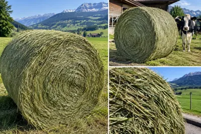 Rundballenheu, zweiter Schnitt, 2026