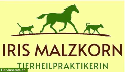 Tiergesundheit verstehen - Tierheilpraxis für Hunde, Katzen & Pferde