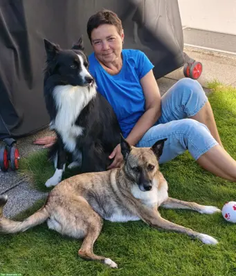 Ferienplatz-/Betreuung für Hunde im Zürcher Unterland