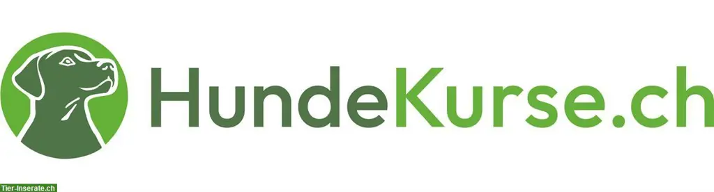 Obligatorischer Hundekurs Zürich (Theorie) und SKN Theorie