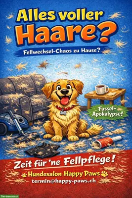 Neu in Rotkreuz: Hundesalon Happy Paws mit ❤️