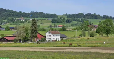 2 freie Pferdeboxen (nebeneinander) in Niederhelfenschwil SG