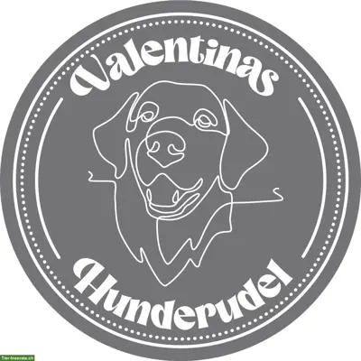 Hundebetreuung mit Abhol- und Bringservice | Zürcher Unterland
