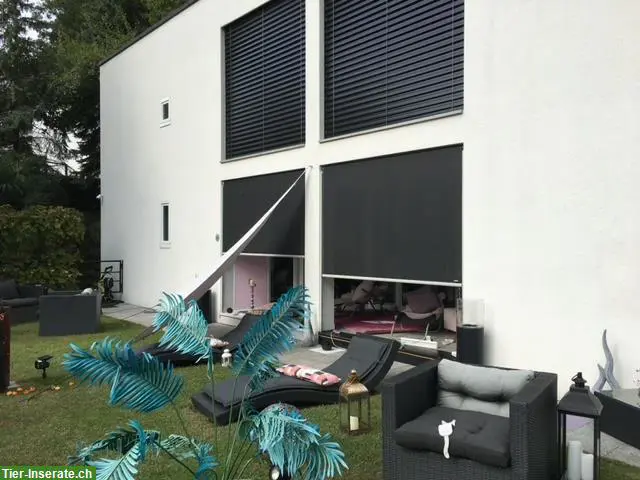 Idyllische, futuristische Villa, viel Ruhe und Sonnenschein