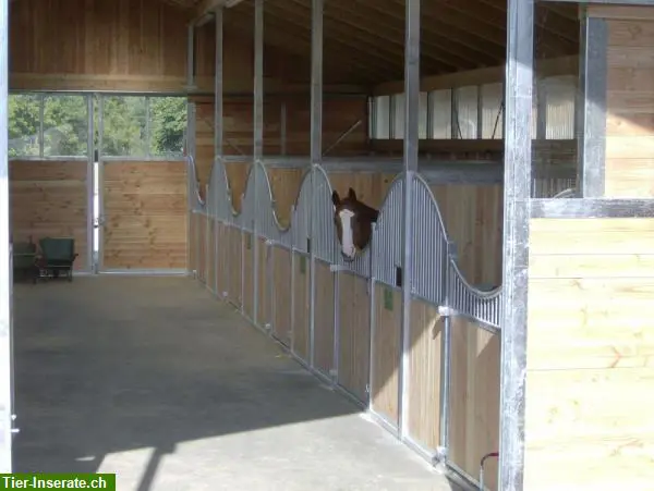 unnamed