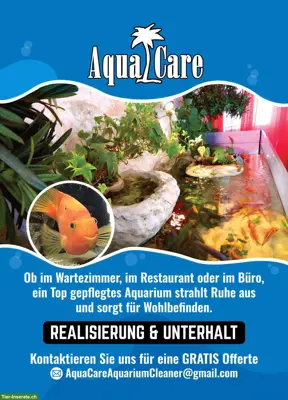 Der Pflege Service für Ihr Aquarium im Kanton Zürich