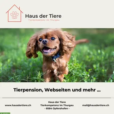 Bieten Tierbetreuung mit Familienanschluss