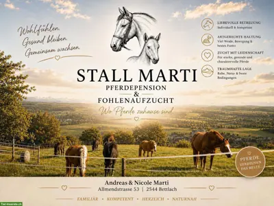Bieten Fohlenaufzucht in Bettlach SO