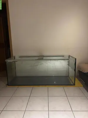 Aquarium 150x50x60cm zu verkaufen