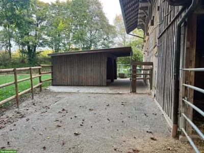 Auslaufboxe oder Offenstall in Allmendingen bei Bern