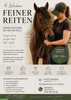 Feiner Reiten - 4 Wochen Programm