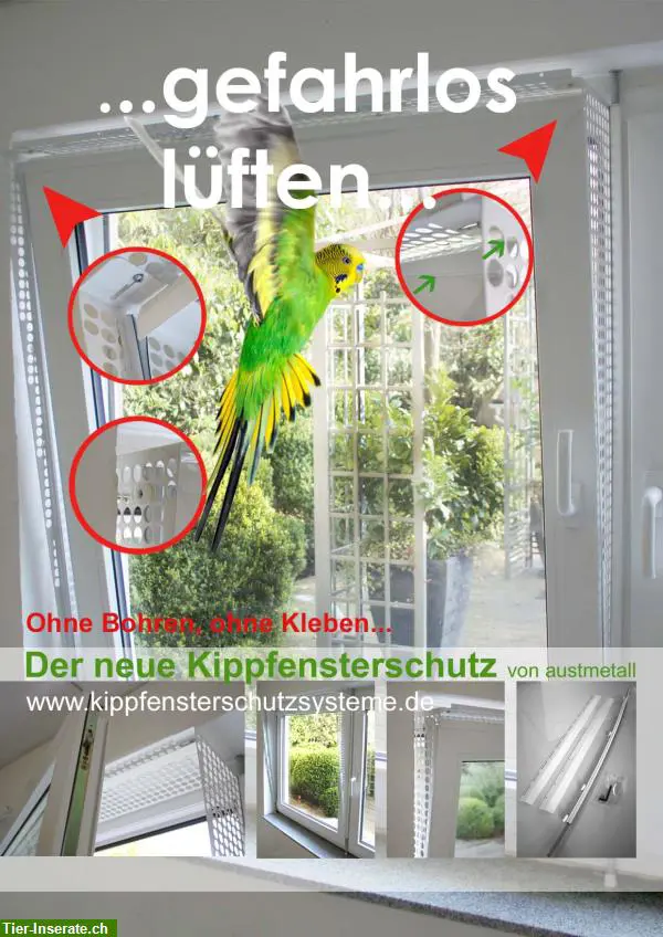 Kippfensterschutz für Vögel von austmetall, System 4, OHNE Bohren