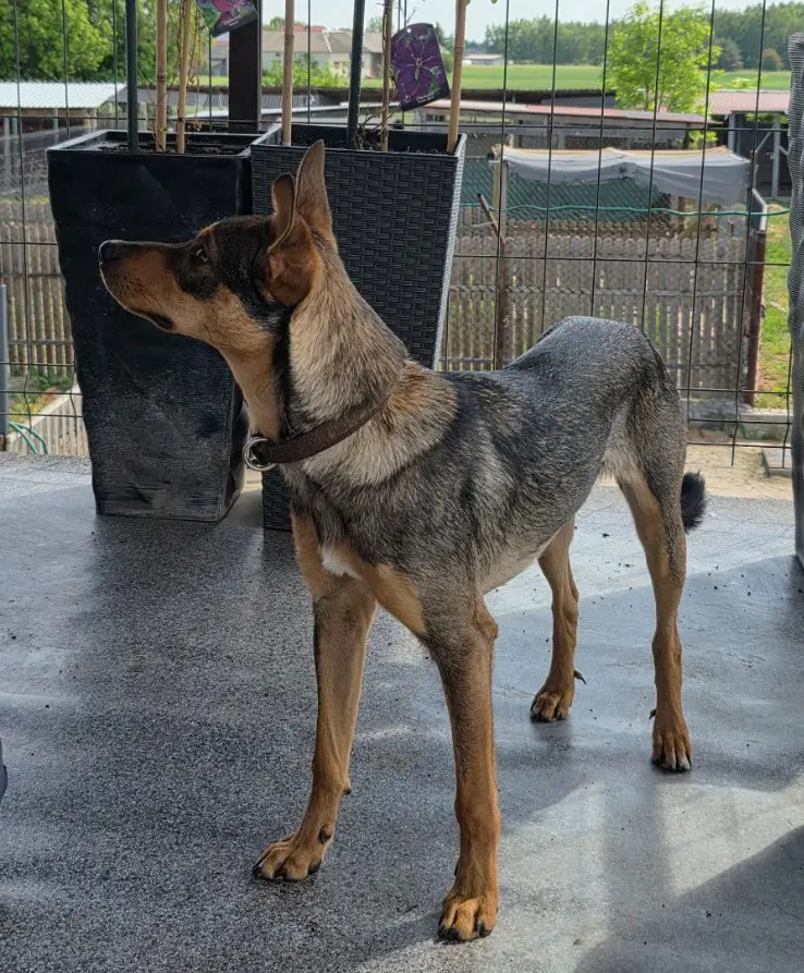 dad4f83c-ad9b-4675-a009-80c2109058e9-Oriana 26 06 02 (3).jpg