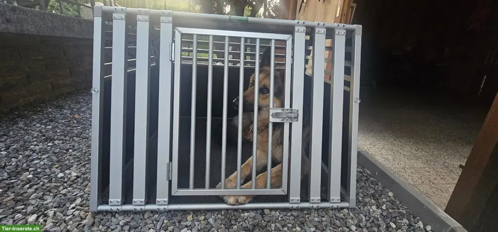 Neuwertige Meiko Hundeboxe zu verkaufen