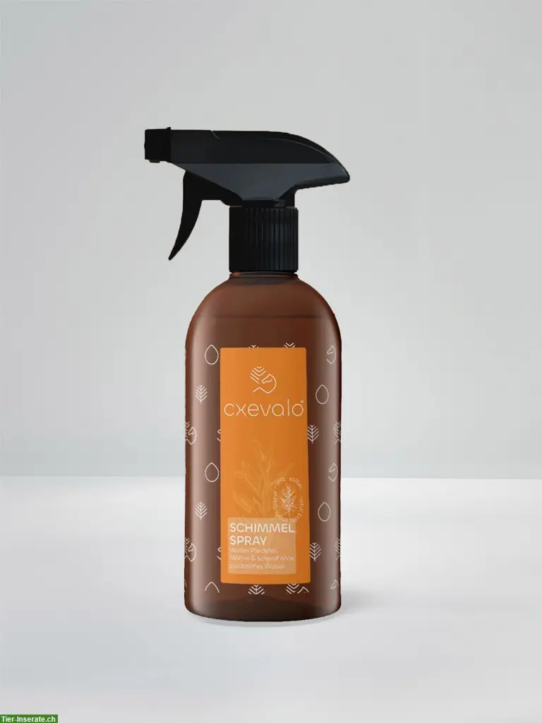 Schimmelspray | 500ml Original CXEVALO