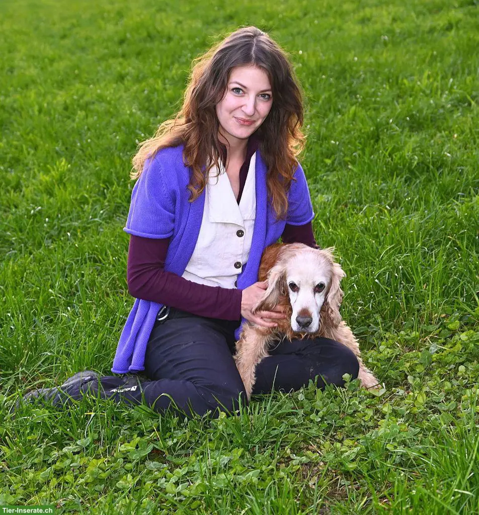 Private Hundebetreuung und Spaziergänge (Aarau-Sursee)