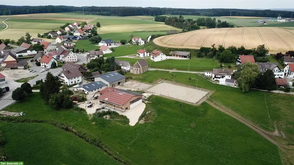 Verkaufe Pferdehof nahe CH Grenze in DE profitieren tiefen Eurokurs