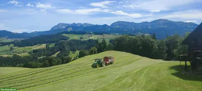 Suchen dringend Landwirtschaftlicher Mitarbeiter per sofort