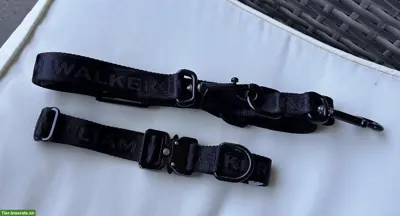 William Walker Halsband und Leine zu verkaufen