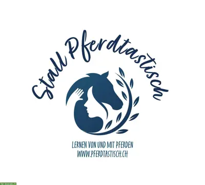 Pony reiten, Pflege-/Reitbeteiligung für Ponys/Pferde