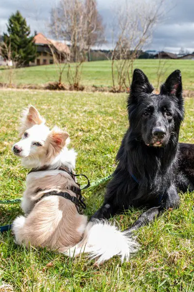 Liv und Bruce – gemeinsam stark