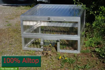 Schildkrötenhaus Top100Low, Frühbeet Alltop 16mm Plexiglas