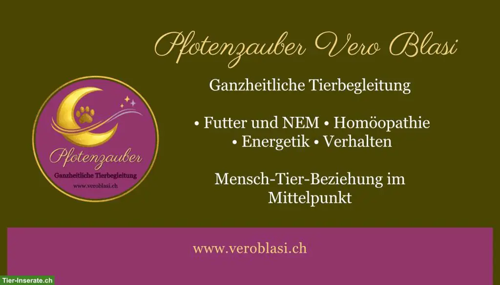 Pfotenzauber Vero Blasi-Ganzheitliche Tierbegleitung