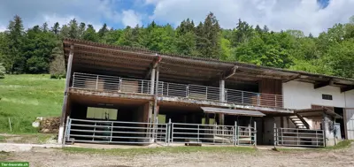Pferdepension im Offenstall, Goumois JU