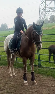 Appaloosa Wallach
