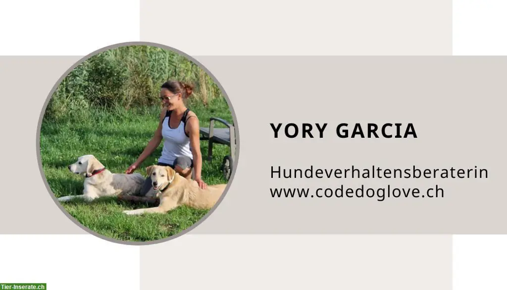 Code.Doglove - Deine Hundeverhaltensberatung im Aargau