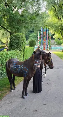 Kindergeburtstag mit Ponyreiten
