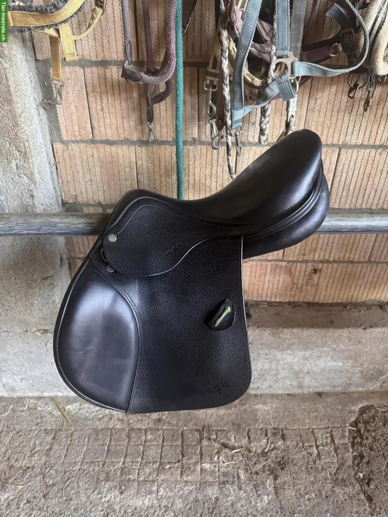 Amerigo Vega Springsattel 16 Zoll zu verkaufen