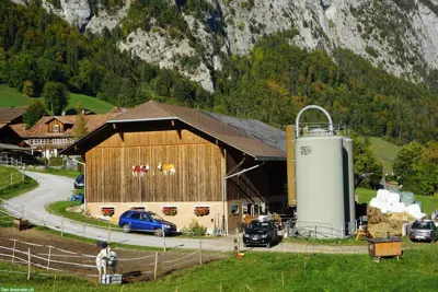 1 Pferdeboxe in Vollpension oder Selbstversorger, Latterbach BE