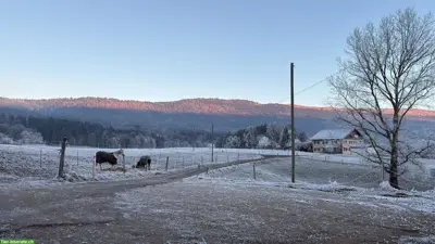 Auslaufboxen frei im Neuenburger Jura